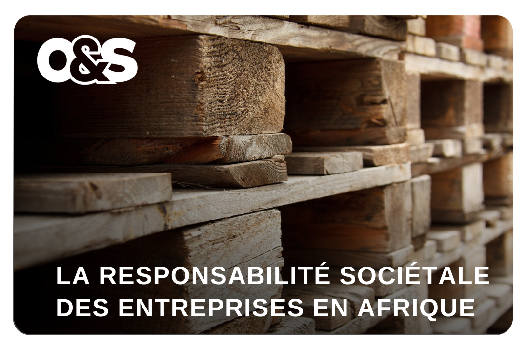 La Responsabilité Sociétale des Entreprises (RSE) en Afrique